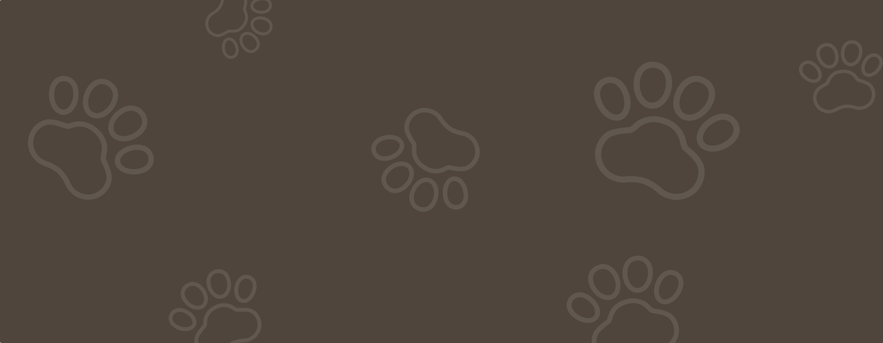 London Zoo promo code 35 OFF in September 2022