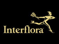 interflora eflorist crocus