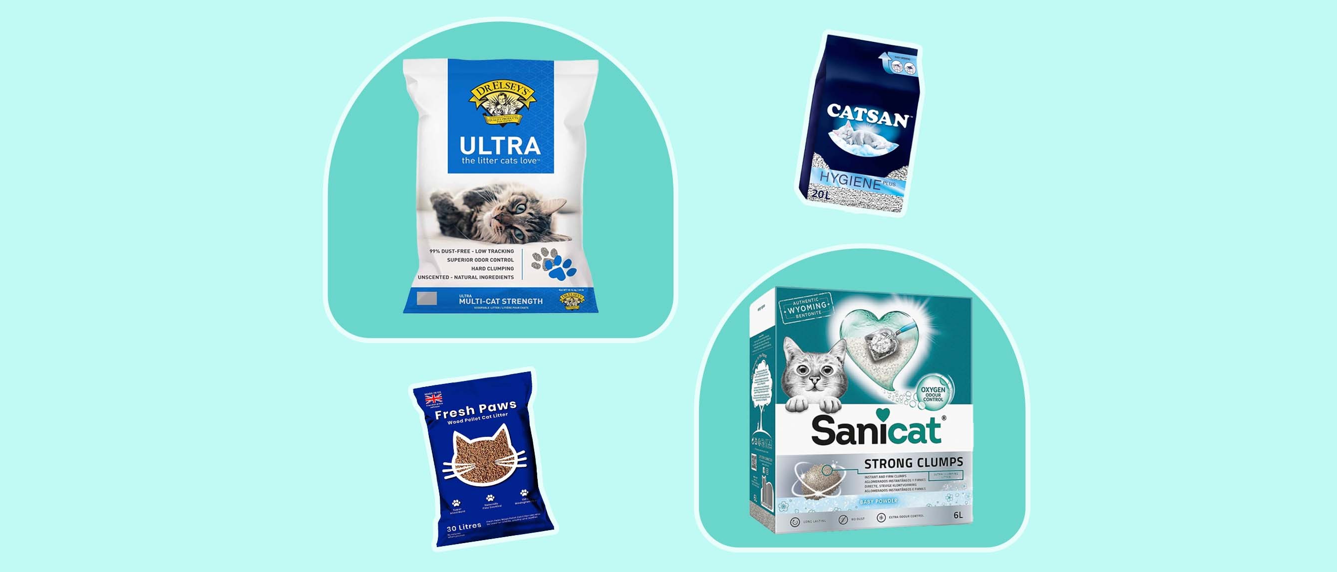 These 7 cat litters are best for easy clean-up and odour control